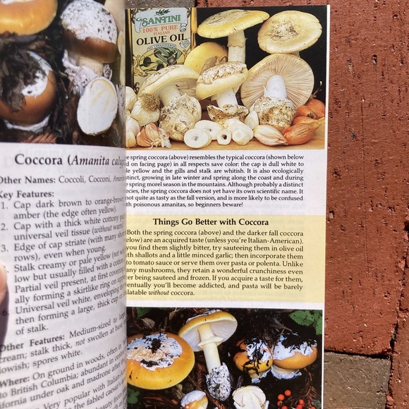 All That the Rain Promises and More Edible Mushrooms Mushie Pocket Guide Plant - Picture 7 of 13